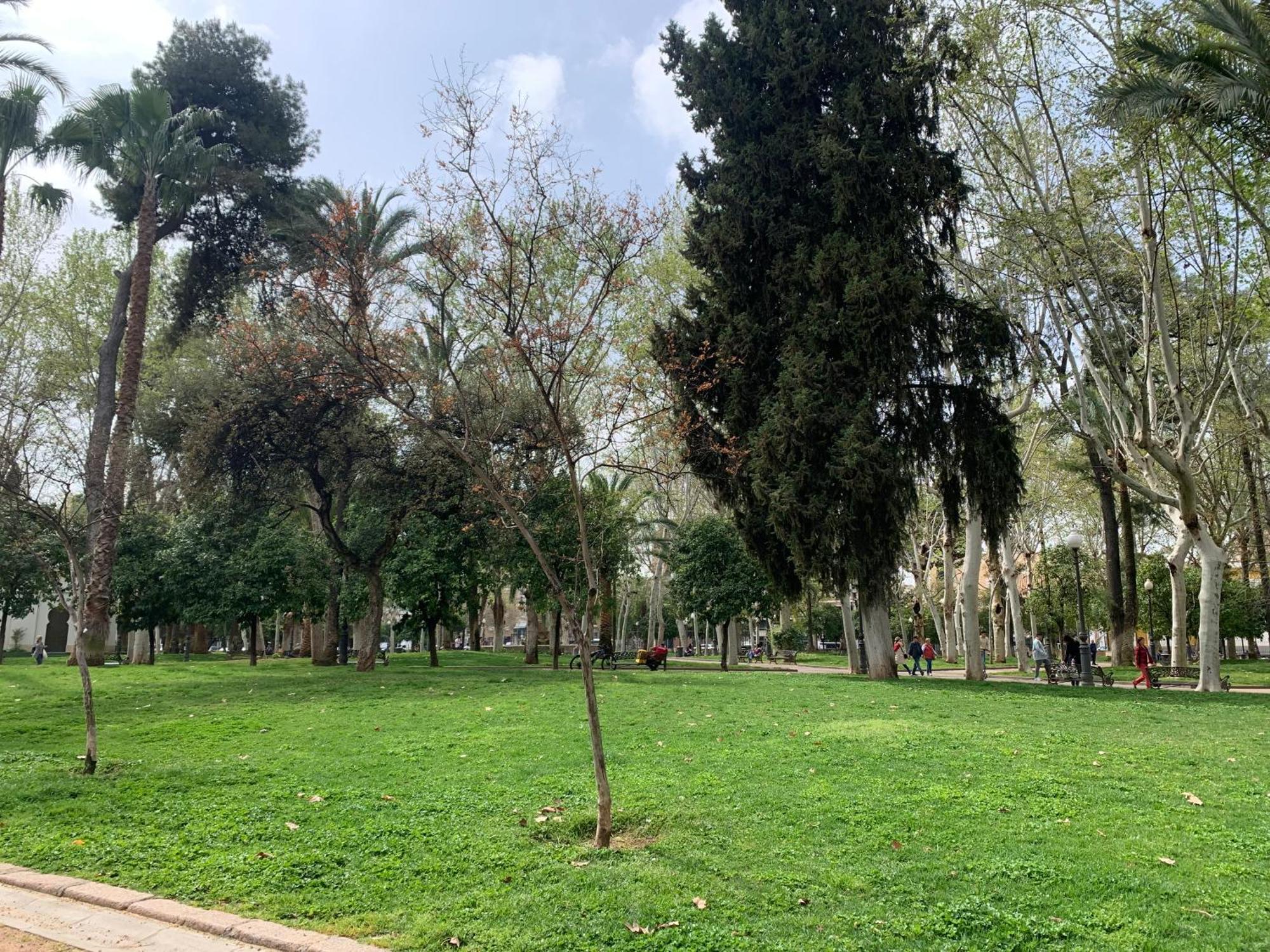 Bonito, Centrico, Fresco Y Tranquilo Apartamento En Santa Marina Córdoba Exteriér fotografie